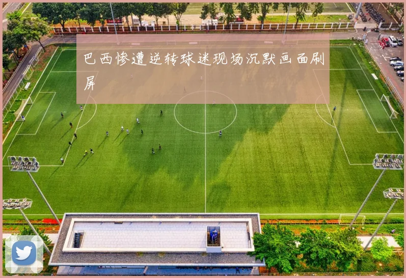 巴西惨遭逆转球迷现场沉默画面刷屏