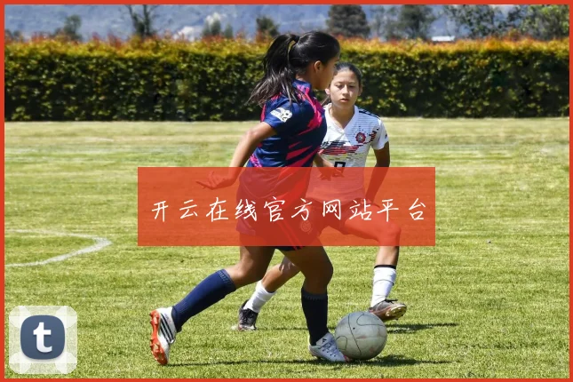 开云在线官方网站平台