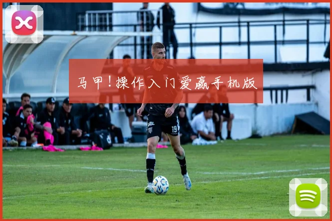 马甲!操作入门爱赢手机版