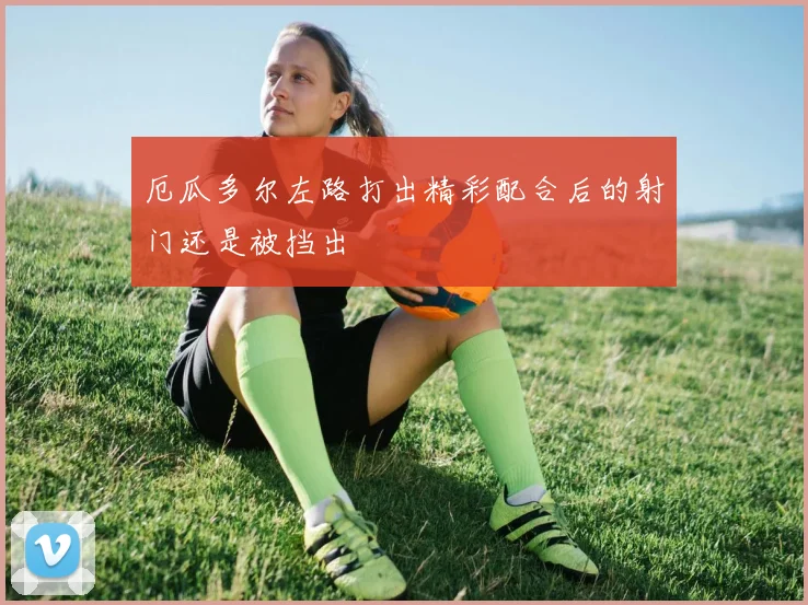 厄瓜多尔左路打出精彩配合后的射门还是被挡出
