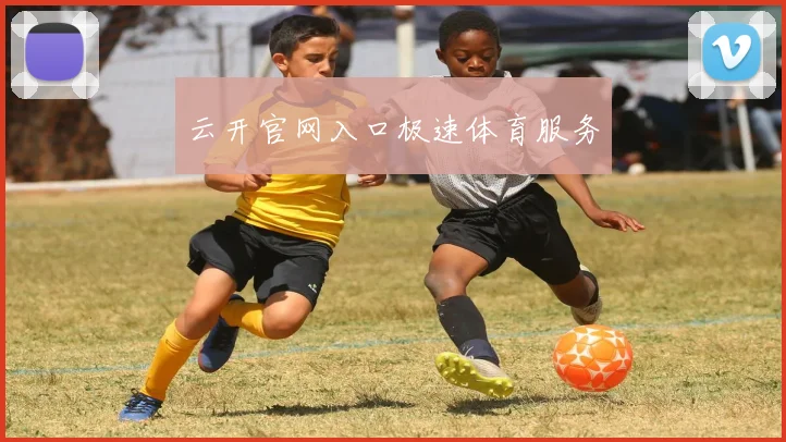 云开官网入口极速体育服务
