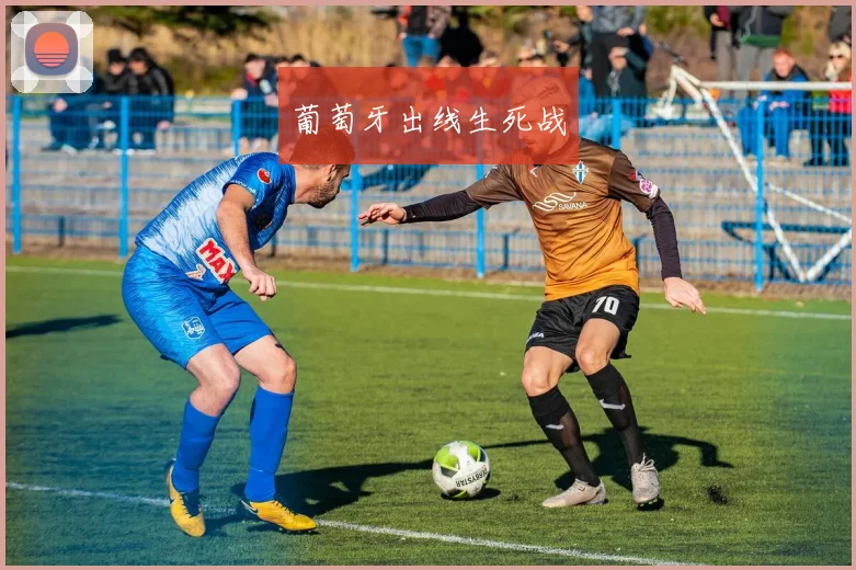 葡萄牙出线生死战