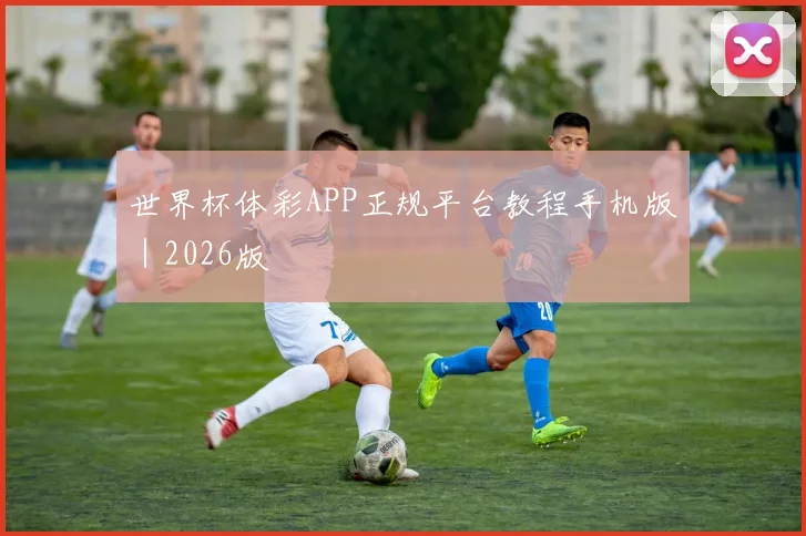 世界杯体彩APP正规平台教程手机版｜2026版