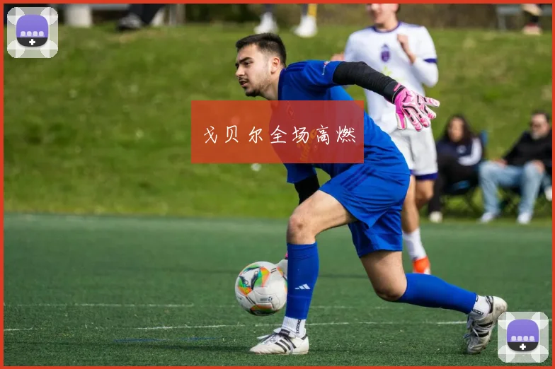 戈贝尔全场高燃