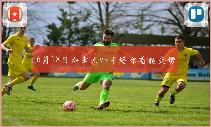 6月18日加拿大vs卡塔尔首轮走势