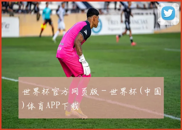 世界杯官方网页版 - 世界杯(中国)体育APP下载