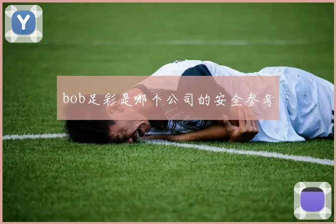 bob足彩是哪个公司的安全参考