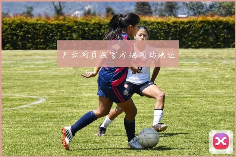 开云网页版官方端网站地址