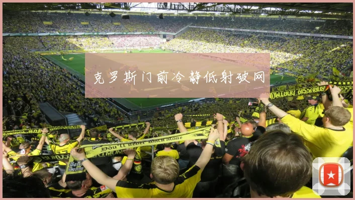 克罗斯门前冷静低射破网