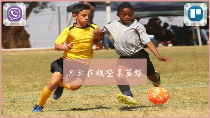 开云在线登录篮球