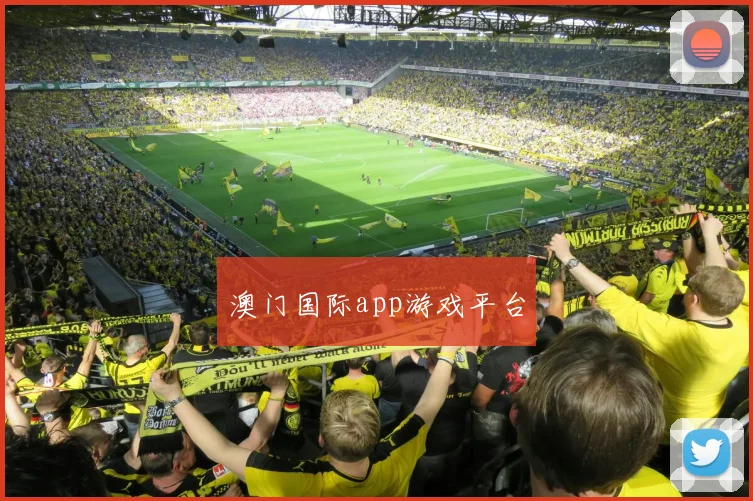 澳门国际app游戏平台