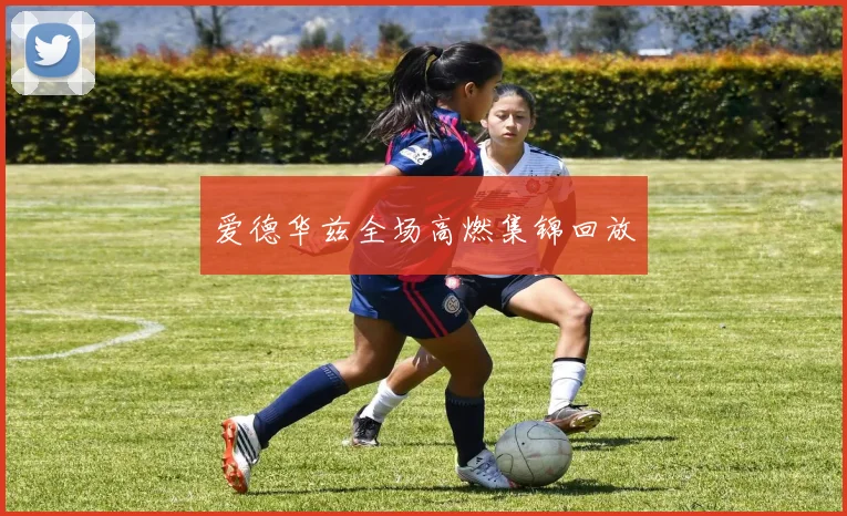 爱德华兹全场高燃集锦回放