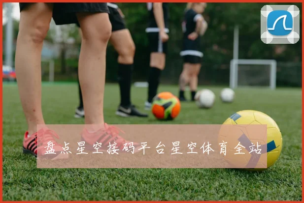 盘点星空接码平台星空体育全站
