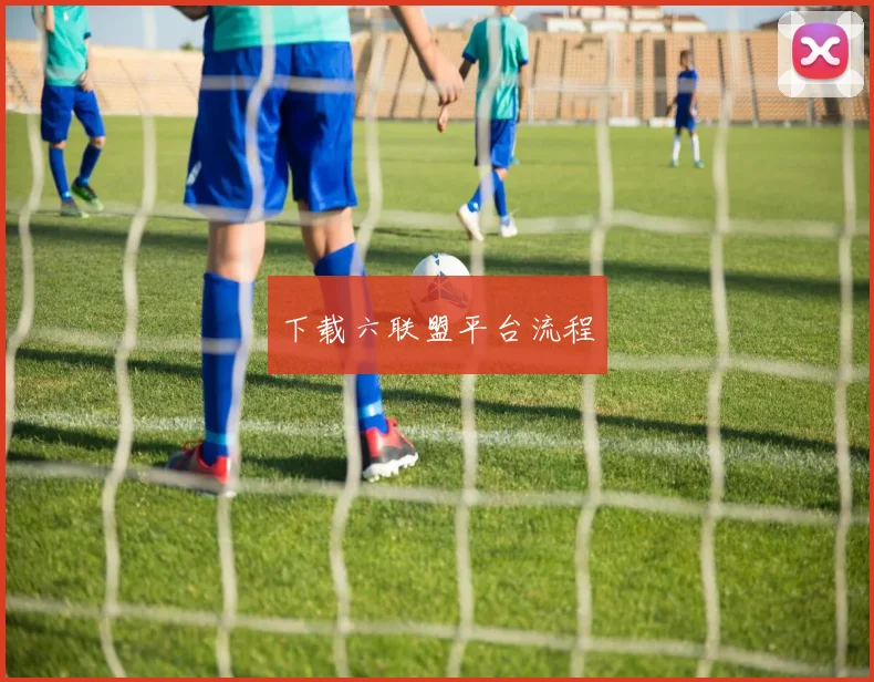下载六联盟平台流程