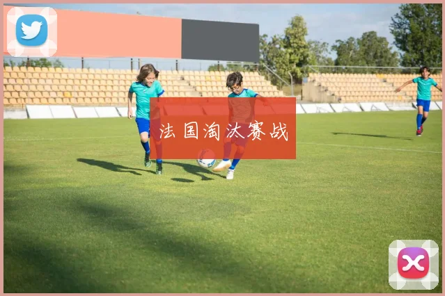 法国淘汰赛战