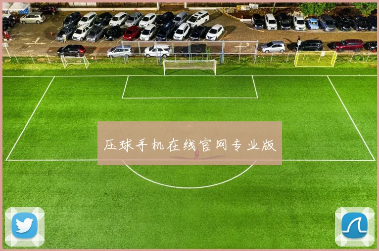 压球手机在线官网专业版
