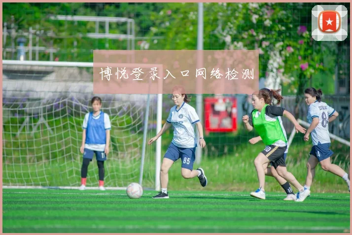 博悦登录入口网络检测