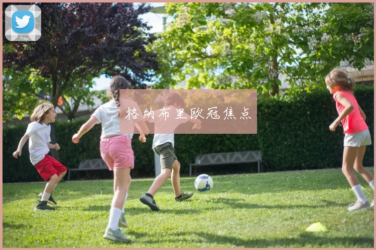 格纳布里欧冠焦点