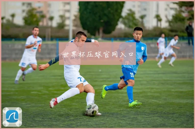 世界杯压球官网入口