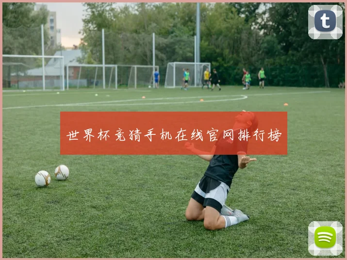 世界杯竞猜手机在线官网排行榜