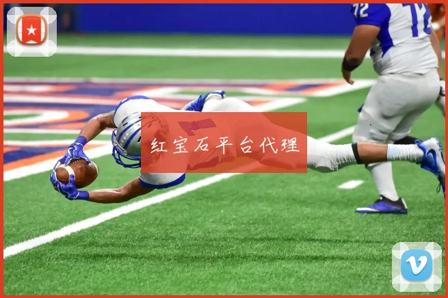 红宝石平台代理