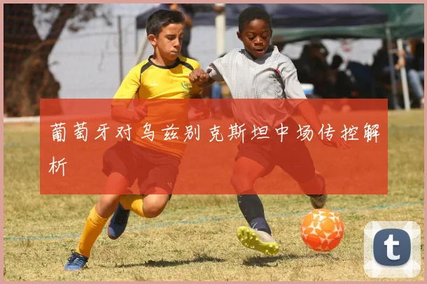 葡萄牙对乌兹别克斯坦中场传控解析