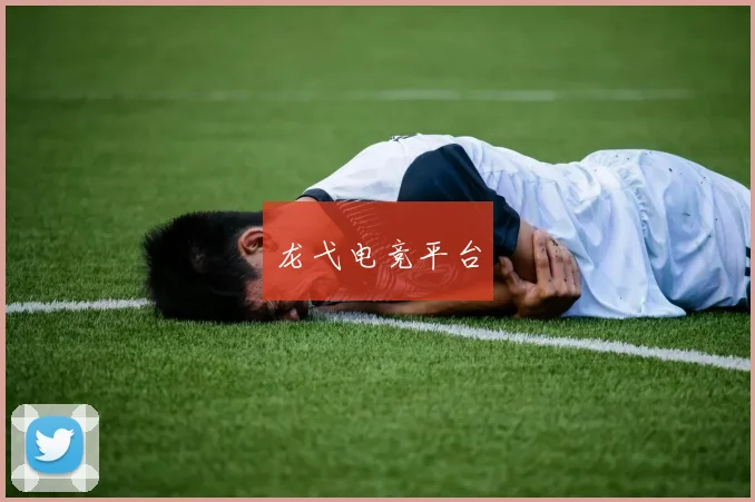 龙弋电竞平台