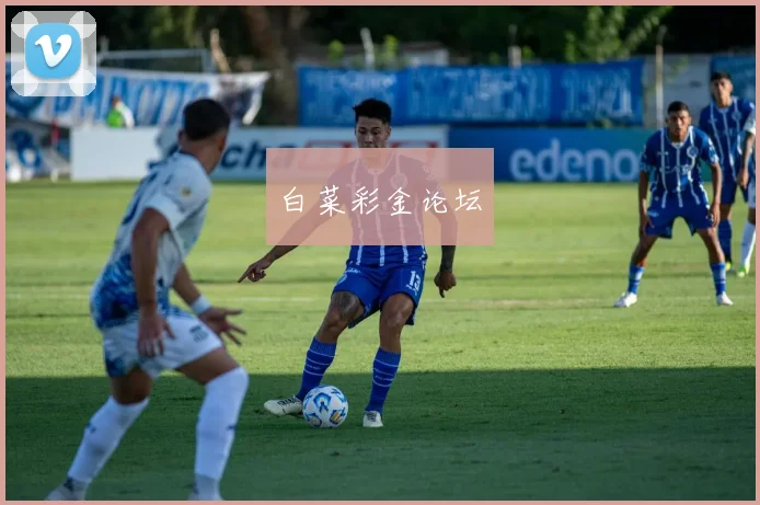 白菜彩金论坛