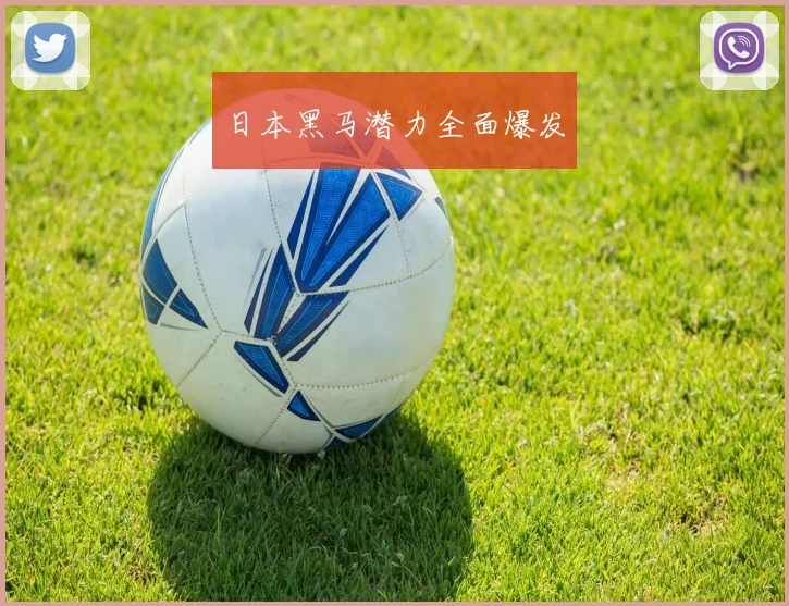 日本黑马潜力全面爆发