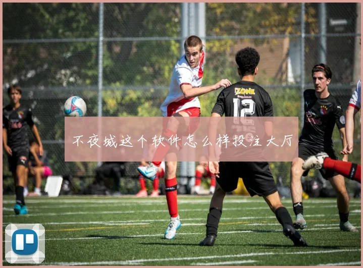 不夜城这个软件怎么样投注大厅