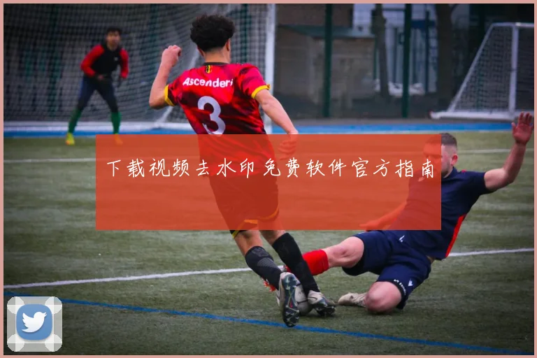 下载视频去水印免费软件官方指南