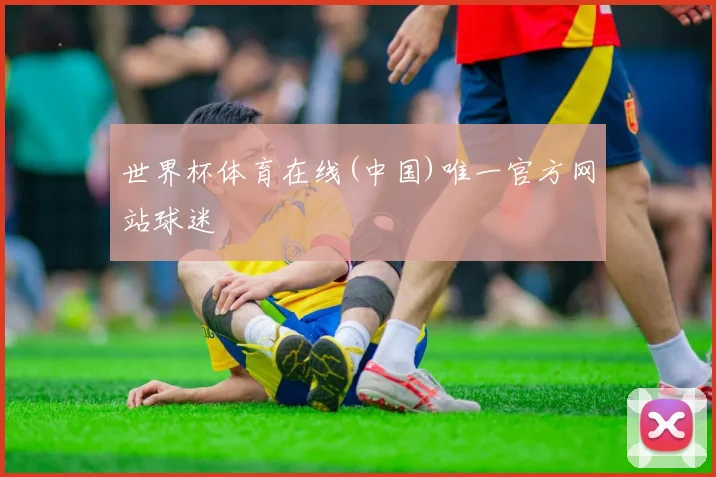 世界杯体育在线(中国)唯一官方网站球迷