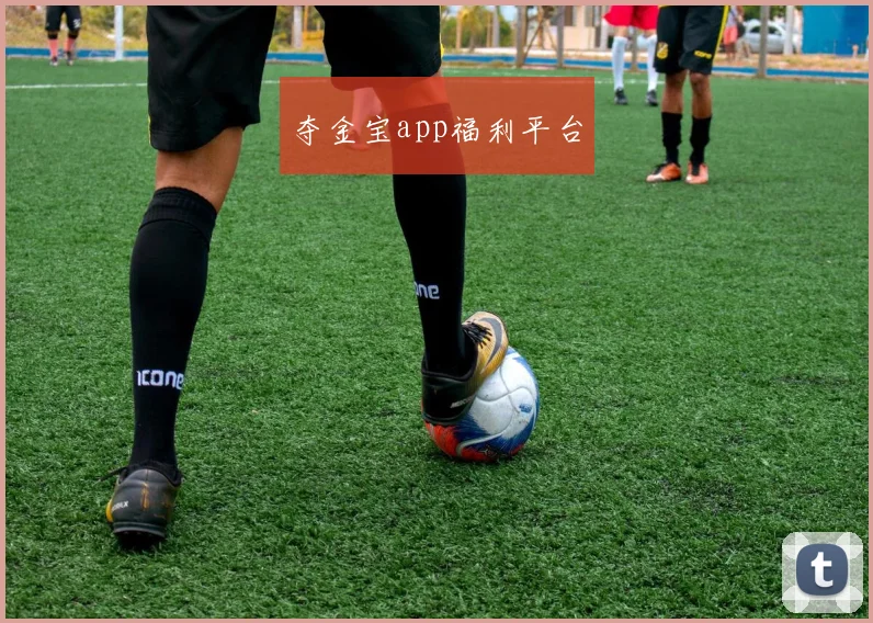 夺金宝app福利平台