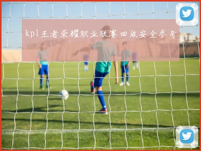 kpl王者荣耀职业联赛回放安全参考