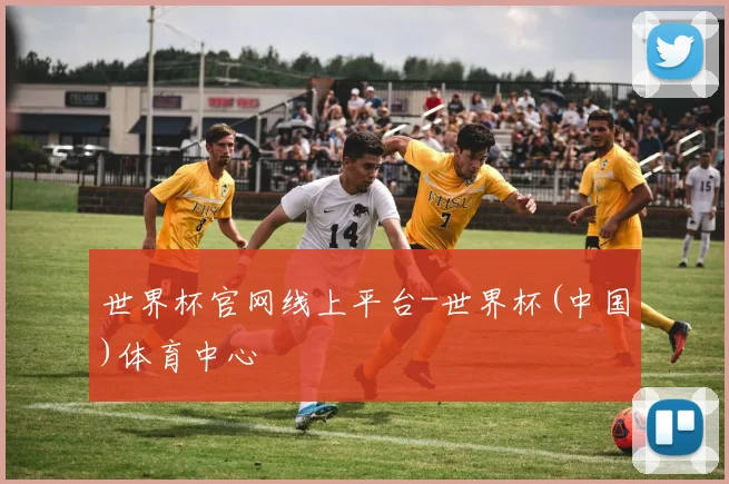 世界杯官网线上平台-世界杯(中国)体育中心