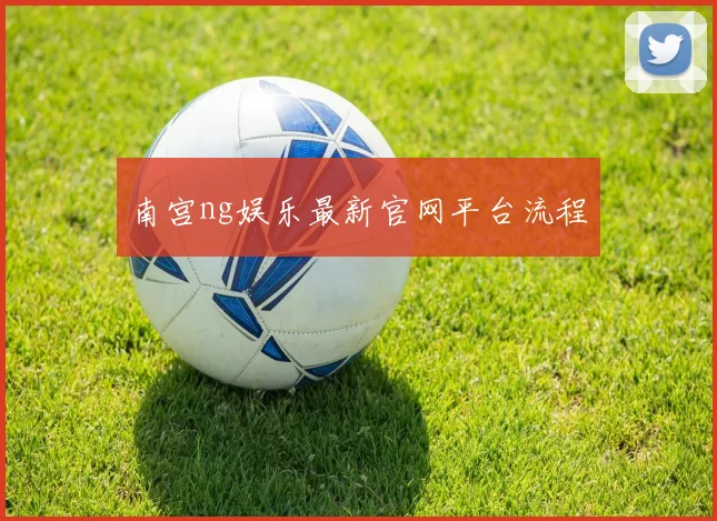 南宫ng娱乐最新官网平台流程