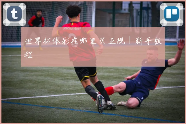 世界杯体彩在哪里买正规｜新手教程