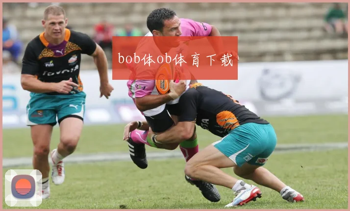 bob体ob体育下载