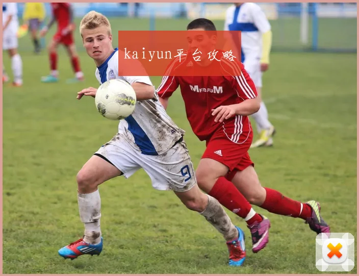 kaiyun平台攻略