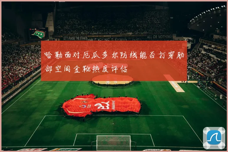 哈勒面对厄瓜多尔防线能否打穿肋部空间金靴热度评估