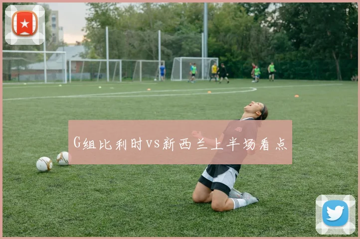 G组比利时vs新西兰上半场看点