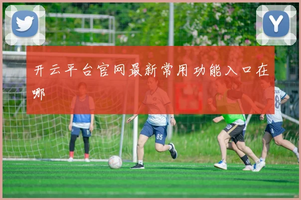 开云平台官网最新常用功能入口在哪