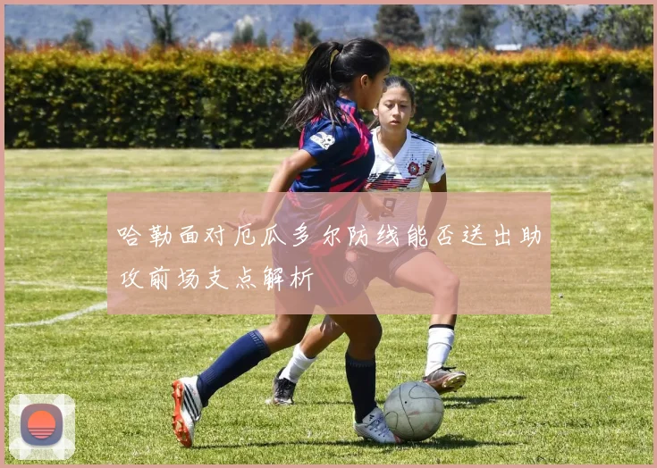 哈勒面对厄瓜多尔防线能否送出助攻前场支点解析