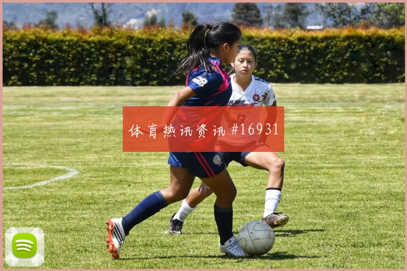 G组比利时vs新西兰上半场看点