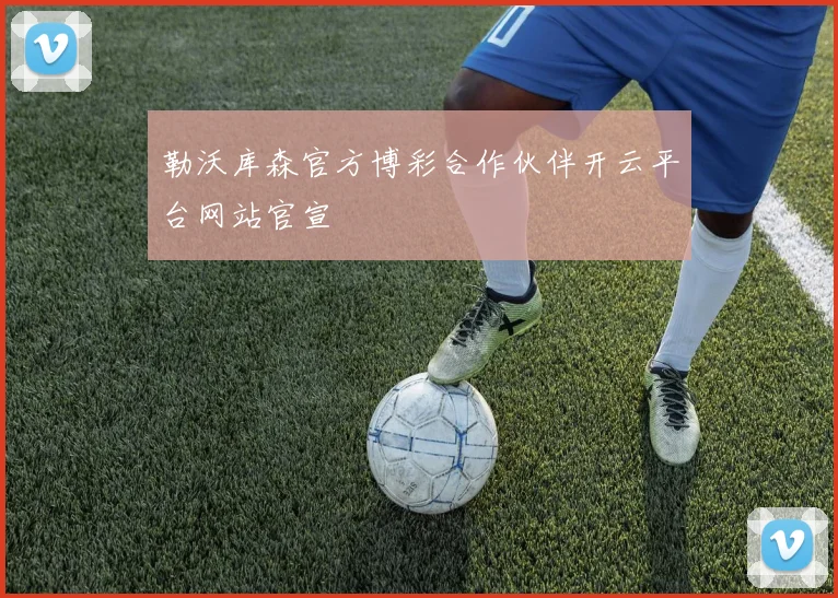 勒沃库森官方博彩合作伙伴开云平台网站官宣